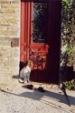 20010723 SPRINGER ll FRONT DOOR